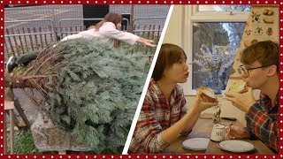 조가비의 2M 초대형 트리🌲 사버리기 첫 뱅쇼🍷 그리고 소소한 치즈 토스트해먹기🧀 [upl. by Aninnaig751]