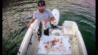 Cape Cod Striper Fishing Tutorial How to chum amp liveline mackerel [upl. by Aetnuahs]