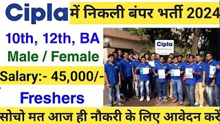 Cipla में निकली भर्ती 2024  Cipla Recruitment 2024 for Freshers  Private Company Job Vacancy 2024 [upl. by Gallard]