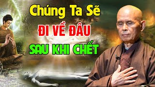 Chúng Ta Từ Đâu Mà Tới và Khi CHẾT Đi Về Đâu  Thiền Sư Thích Nhất Hạnh [upl. by Fogel411]