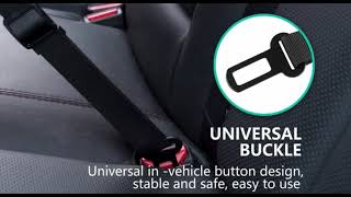 Dog Seat Belt Video [upl. by Melinde]