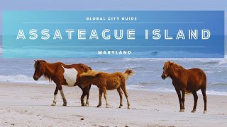 Sandy Toes and Salty Air Assateague Islands Coastal Delights 2024 travelguide2024 [upl. by Arit]