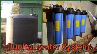 Drinking Rain Water How We Are Filtering Rainwater [upl. by Bernstein]