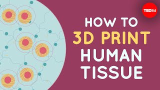 How to 3D print human tissue  Taneka Jones [upl. by Eal]