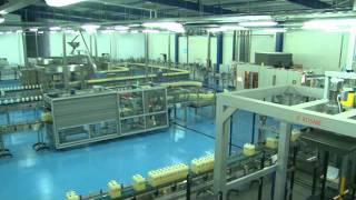 Perla Harghitei amp Allegria  How Its Made [upl. by Zennie]