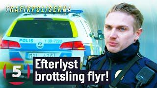 Polisen jagar efterlyst brottsling som sätter plattan i mattan  Trafikpoliserna  Kanal 5 Sverige [upl. by Eldwen163]