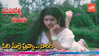 Sirimalle Puvva Video Song HD  Padaharella Vayasu Movie Songs  Sridevi  YOYO TV Music [upl. by Leveroni218]