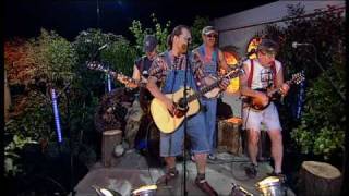 Hayseed Dixie  Ace Of Spades Acoustic [upl. by Onoitna]