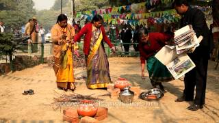 Preparations for pongal making competition at Tamil Nadu House [upl. by Imit]