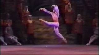 La Bayadere Solor variation Nikolai Tsiskaridze [upl. by Simonsen]