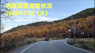 【最新】志賀高原道路状況20241112（火） [upl. by Suivatram]