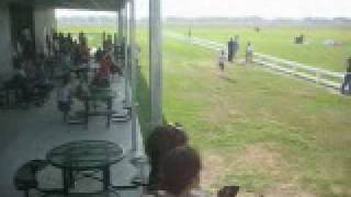 Saturday at a skydiving facility in Rosharon Texas [upl. by Asquith]