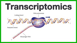 Transcriptomics A short introduction to the core concepts of microarrays and RNA sequencing [upl. by Skoorb]