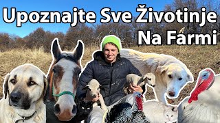 POKAZUJEM SVAKU ŽIVOTINJU NA FARMI 🐄🐑🐶🐏🐐🦮🐈‍⬛🦃🐎🐂🦆🪿 Naj kul životinja je Česnut [upl. by Wehrle]