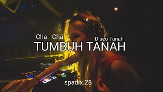 TUMBUH TANAH  SPADIX 28 REMIX CHA CHA DISTAN [upl. by Eladnek575]