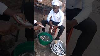 african chef clinging fish shorts [upl. by Corrinne291]