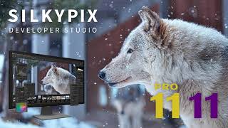 quotSILKYPIX Developer Studio Pro11quot promotion movie [upl. by Ruggiero]