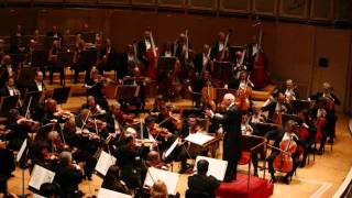 Brahms 2nd symphony 1st movement [upl. by Aihk408]