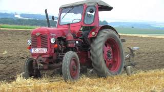 Traktoren in LimbachOberfrohna  34  Massey Ferguson and Famulus Tractor plowing  Feldtag [upl. by Eisse]