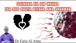 GALMADA KA DIB WAXAA IGA SOO DAATA BIYAHA AMA SHAHWAD Dr faris [upl. by Selim513]