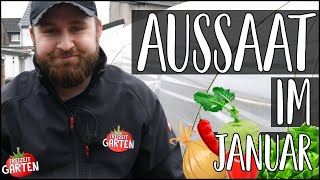 Aussaattipps im Januar  5 Gemüse die du jetzt im Januar säen kannst🌶🫑🥦🧅  Freizeit Garten [upl. by Willem]