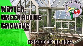 Live What do you grow in your greenhouse overwinter [upl. by Cal660]