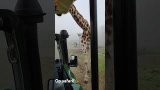 Ik ben op safari🦒 [upl. by Enirrok]