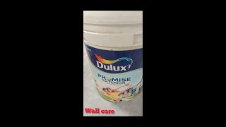 DuluX promise exterior walls paint 🔥😀 [upl. by Lau]