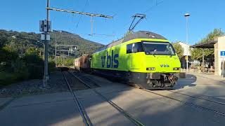 Usfahrt vo de Re 465 011 mit Brunbär und Valentina in Oensingen OeBB [upl. by Audrie]