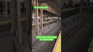 Bull on train track delays NJ Transit trains at Newark Penn Station [upl. by Pirbhai]