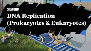 DNA Replication Prokaryotes amp Eukaryotes Part 1  Sketchy Medical  USMLE Step 1 [upl. by Aligna836]