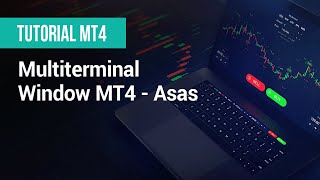 XM  Tutorial MT4  Multiterminal Window MT4  Asas [upl. by Naquin173]