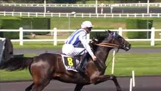 PMU winter festival  Prix de Cornulier [upl. by Lamiv]