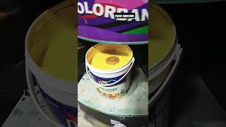 Dulux promise interior youtubeshorts shorts bergerpaints paint asianpaints [upl. by Stout]