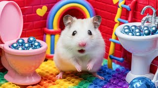 Hamster Pop It Maze Escape 🐹🌈 the Rainbow Prison Maze  Hamsters Great Escape [upl. by Grey251]