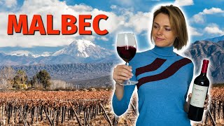 Wine Grapes 101 MALBEC [upl. by Mandelbaum573]