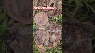 Was für ein Müllloch 😱 schatzsuche metaldetecting metalldetektor sondeln ww2 [upl. by Ignatz]