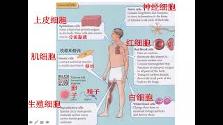 Form 1 KSSM Science Chapter 2 Cell as the Basic Unit of Life part 2 [upl. by Papagena933]