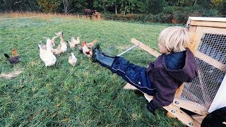 Using Gravity to keep my Chickens Water UNFrozen [upl. by Nohsed]