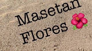 Chamorro Music and Lyrics  Masetan Flores  Tropicsette [upl. by Konstanze297]