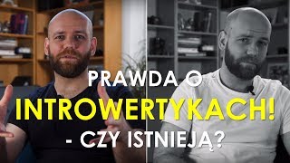 Mit introwertyka Czym naprawdę jest INTROWERSJA i ekstrawersja [upl. by Rimahs]