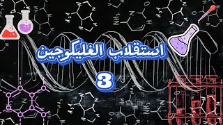 استقلاب الغليكوجين 3 Glycogen Metabolism [upl. by Aronas351]