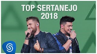 Top Lançamentos Sertanejo 2019  Os Melhores Clipes [upl. by Enylekcaj609]