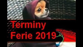 Ferie zimowe w 2019 terminy daty gdzie jechać ferie 2019 [upl. by Yrrej]