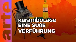 Der SauternesWein Eine Reise durch die edlen Tropfen  Karambolage  ARTE [upl. by Ettevahs129]