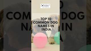 Top 10 Common Dog Names In India [upl. by Veator]