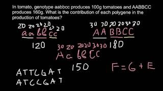 What is Polygene and Additive trait [upl. by Yrdua]