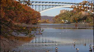 Inwood Hill Park [upl. by Nyrac137]