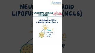 Neuronal ceroid lipofuscinoses Batten disease [upl. by Doownyl]