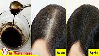 Recette Coloration Cheveux Naturelle  Transforme Les Cheveux Blancs en Noir en 30 Minutes [upl. by Haily]